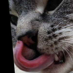 Daniel OnlyFans photos and videos